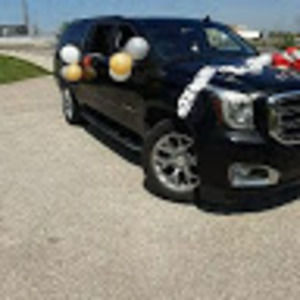 Meet your Posher, Sammy